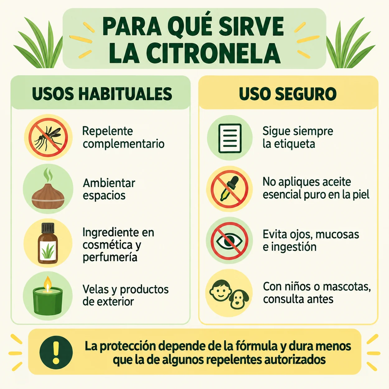 Infografía sobre para qué sirve la citronela y cómo utilizarla con seguridad