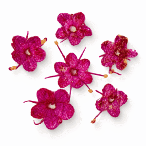 Flores rosas para decoración de uñas